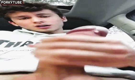 Jerk love in car